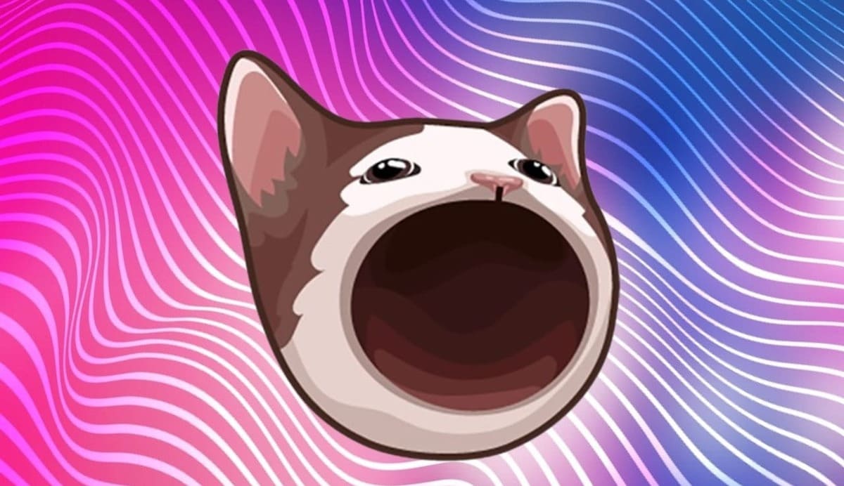 El precio de PopCat aumenta un 83,7% en el último mes.