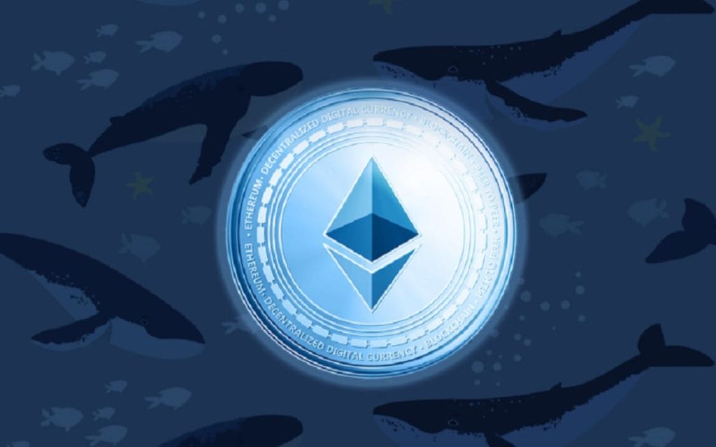 La misma ballena crypto ya compró 6.603 en Bitfinex anteriormente.