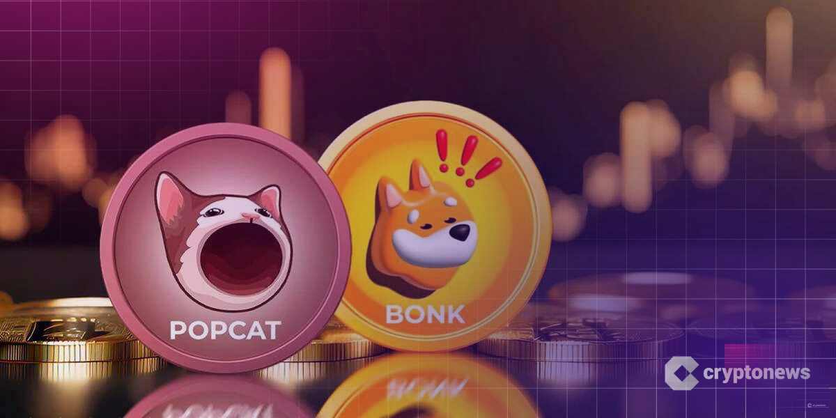 Popcat podría superar a Bonk: ¿son las nuevas meme coins las mejores altcoins?