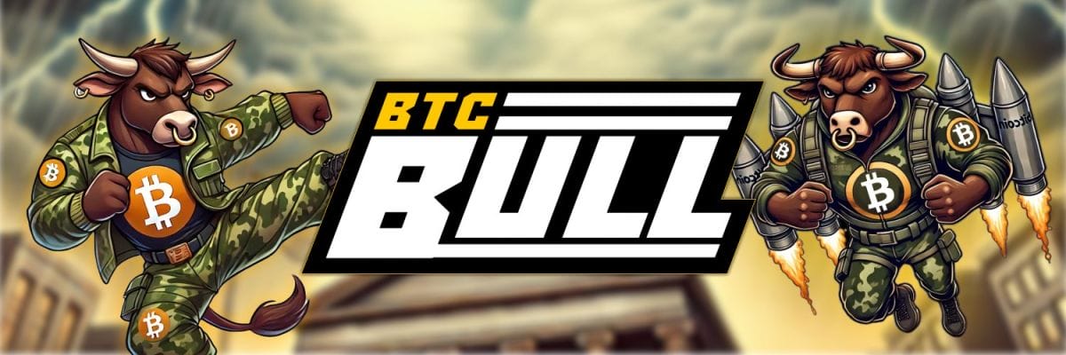 Cómo comprar Bitcoin Bull token: guía completa para ingresar a la preventa