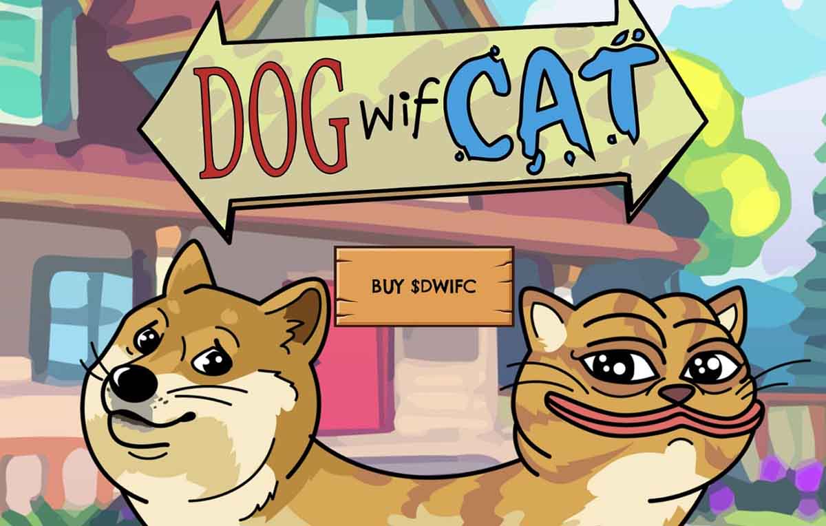 ¿Cómo comprar DogwifCat? Guía para principiantes