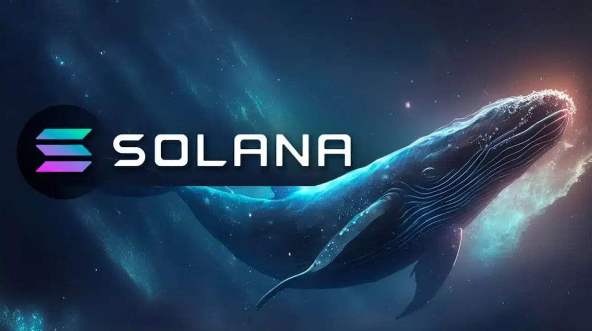 Movimiento masivo de las ballenas de Solana de 836 millones, mientras los operadores apuntan a un repunte de 260 dólares