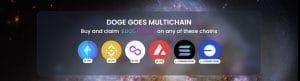 Meme coin Multichain
