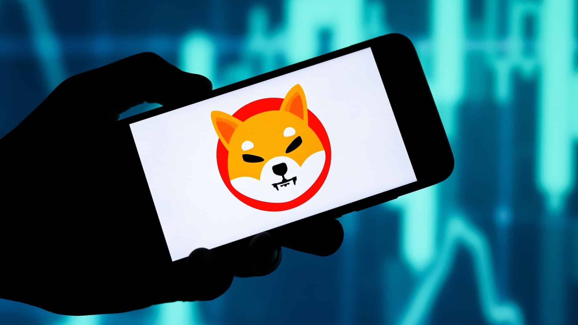 Shiba Inu ennuste