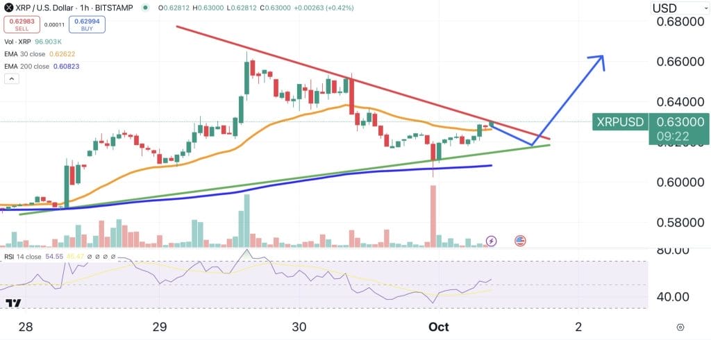 XRP hintaennuste kaavio 2.10.2024.