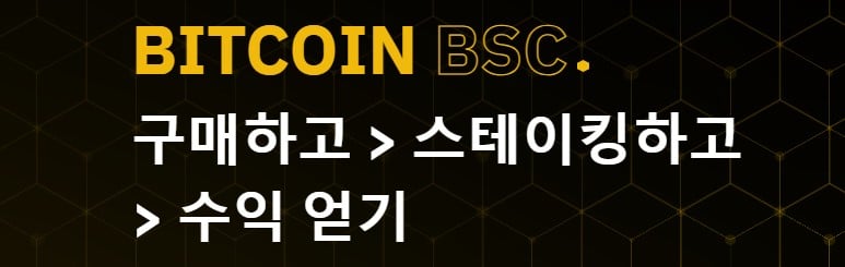 비트코인 bsc