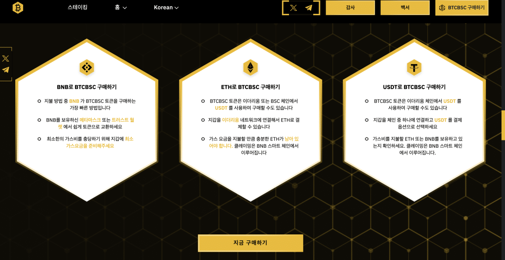 비트코인bsc 사전 판매