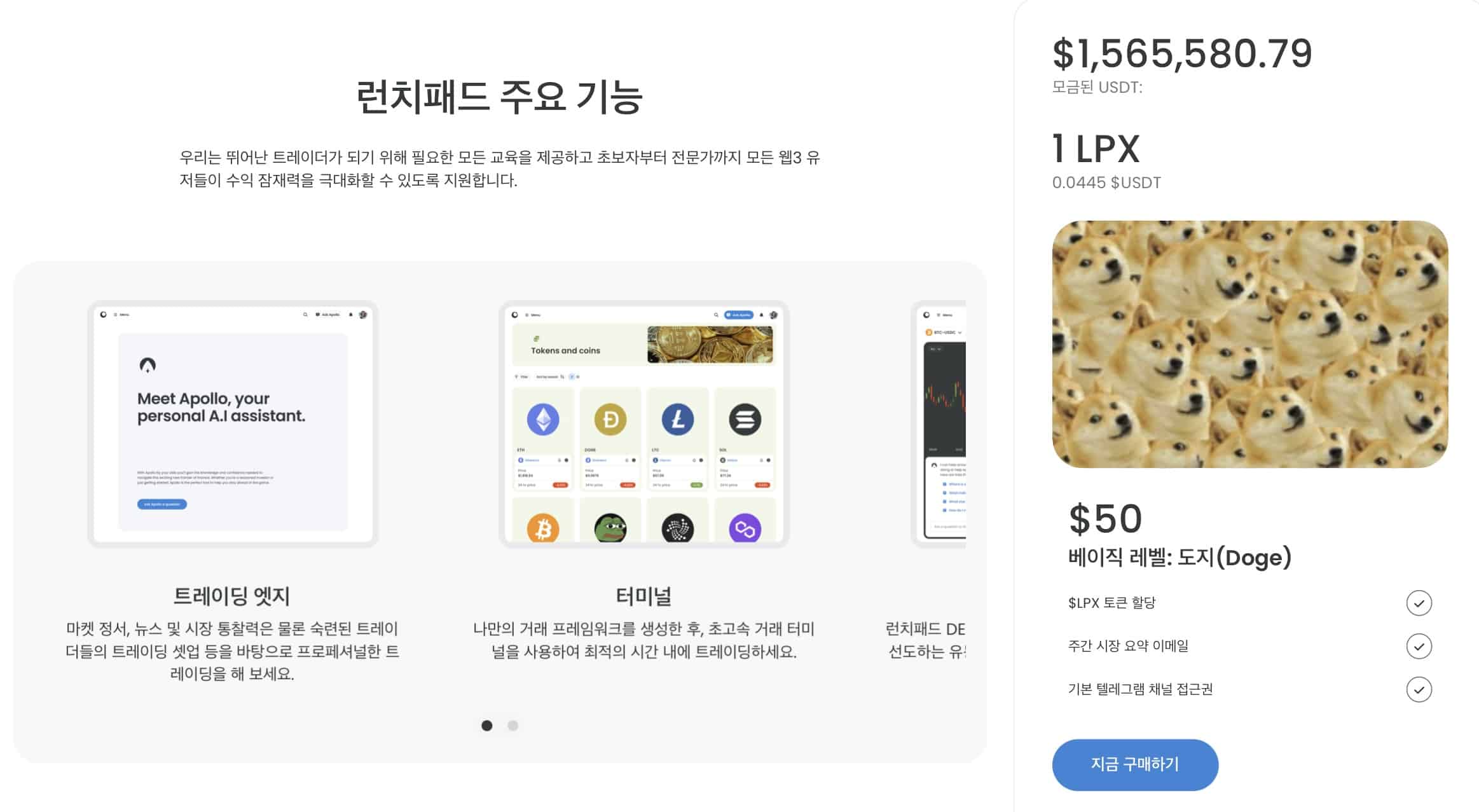 소셜파이 런치패드 XYZ