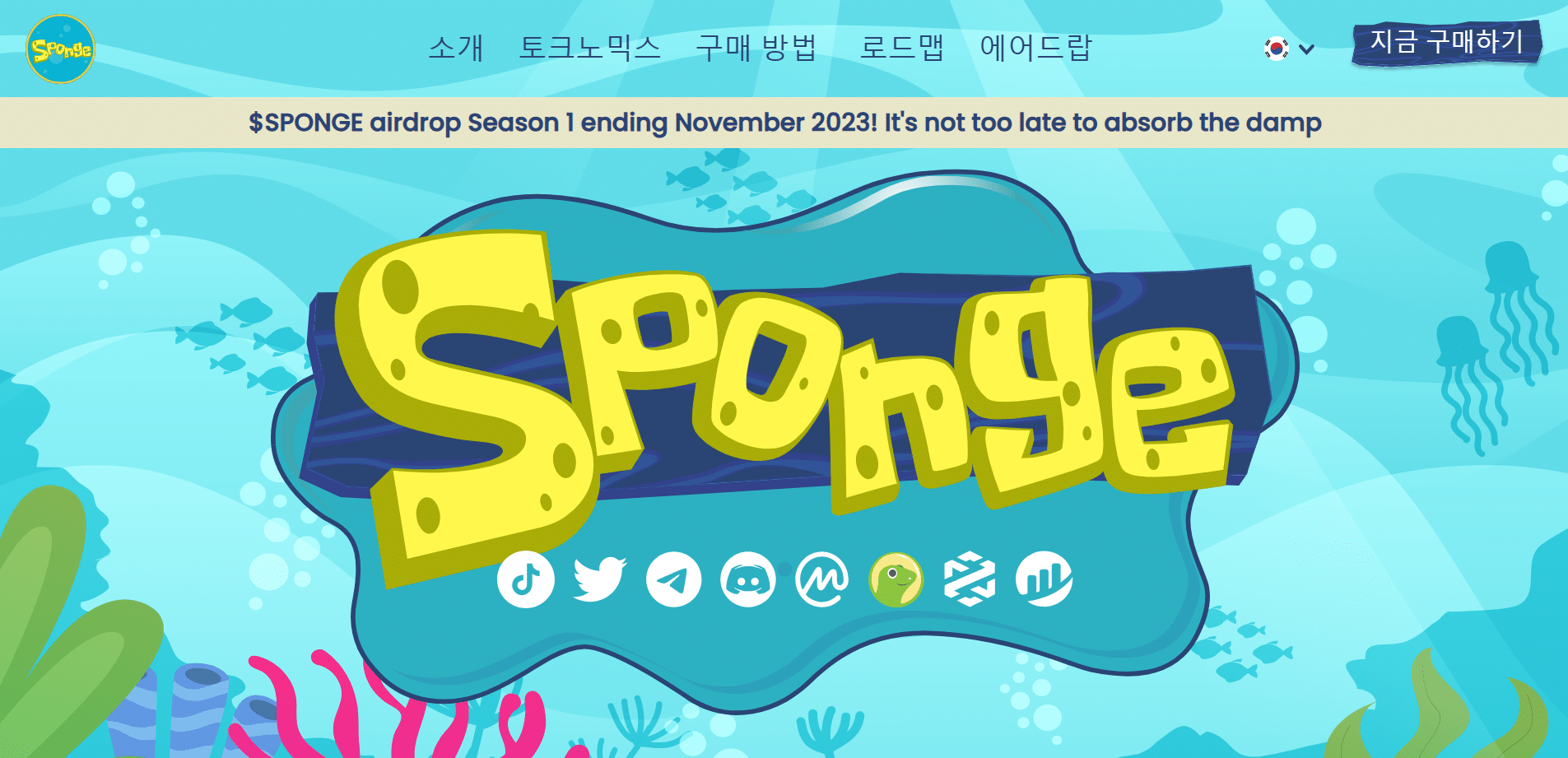 스폰지밥 코인