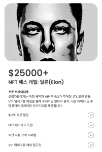 일론 패스