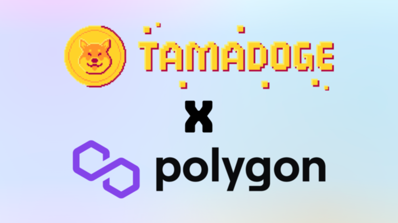 P2E 게임계 리더 타마도지, 폴리곤 $TAMA V2 출시