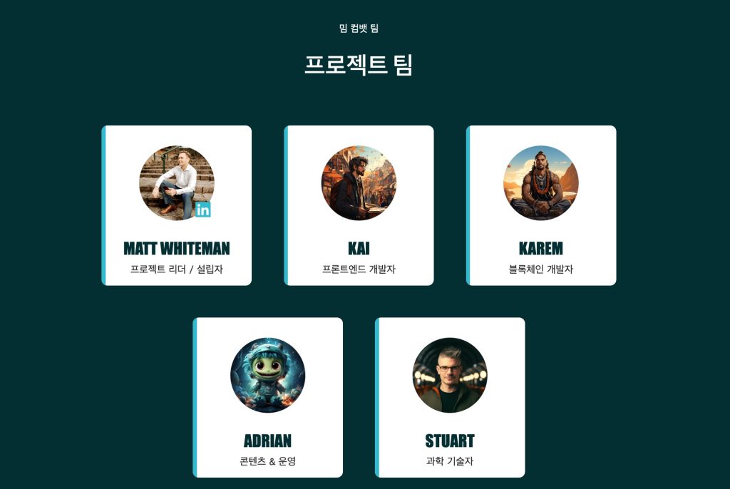 밈 컴뱃 팀