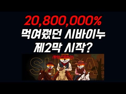 제2의 시바이누 Shiba Shootout 이번에도 먹여줄것인가?