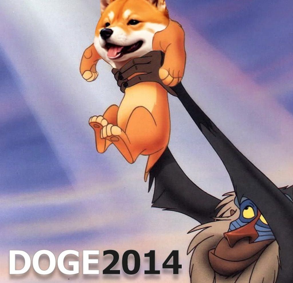 도지2014