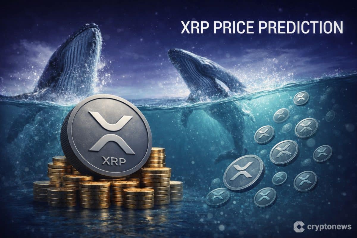 [XRP 뉴스] 고래들 리플 대거 매집… 대형 업데이트 임박 신호인가