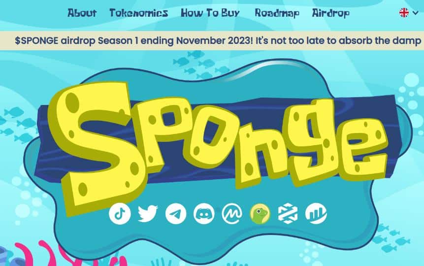 Sponge