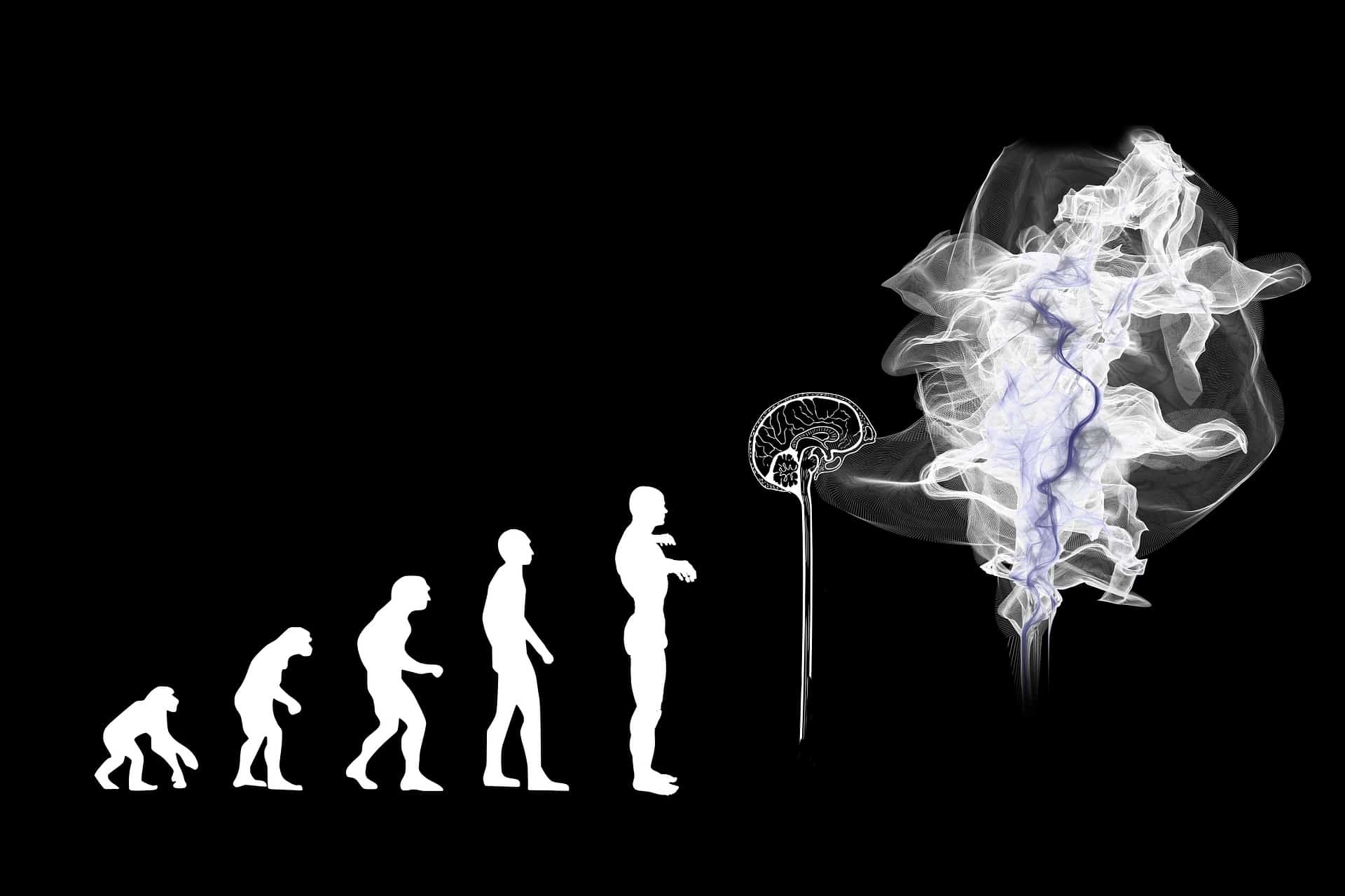 Entwicklung Künstliche Inteligenz