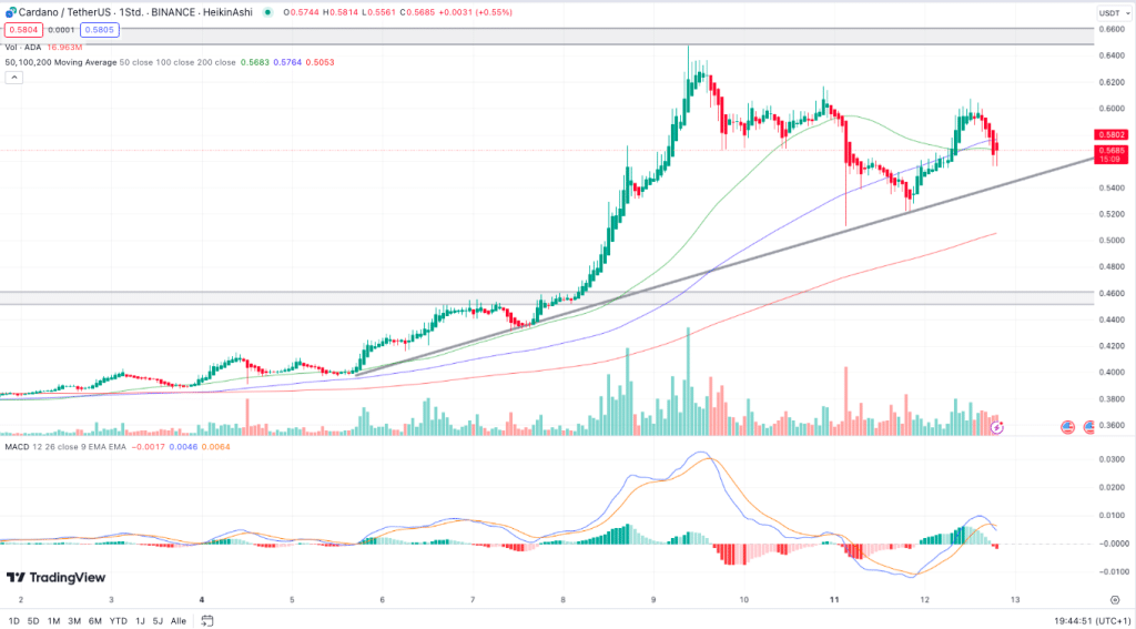 Cardano