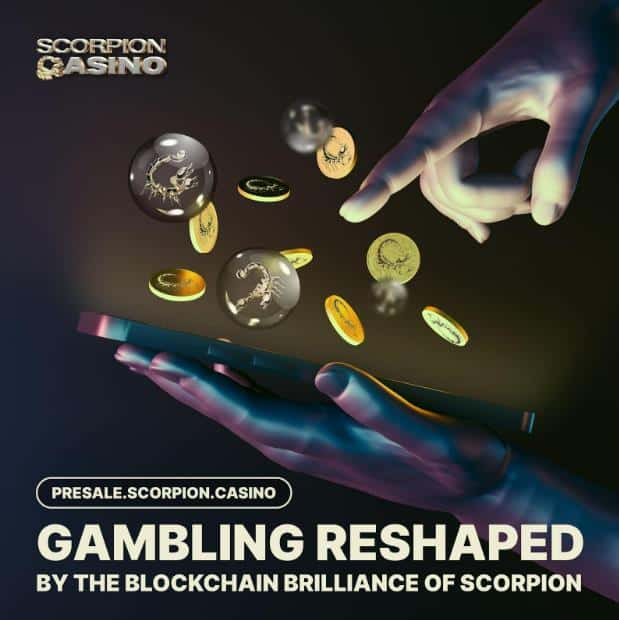 Scorpion Casino