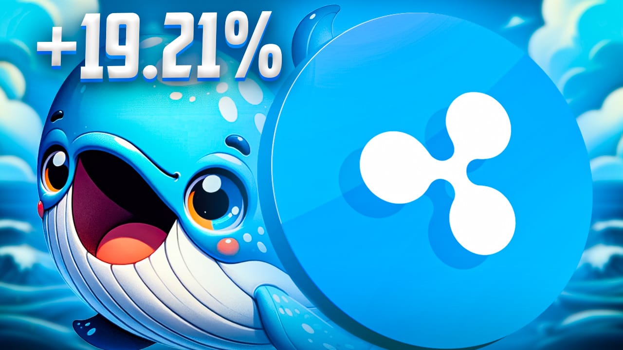ripple-news-1921-in-24h-xrp-pumpt-wale-wachen-auf-prognose-jetzt-ripple-kaufen