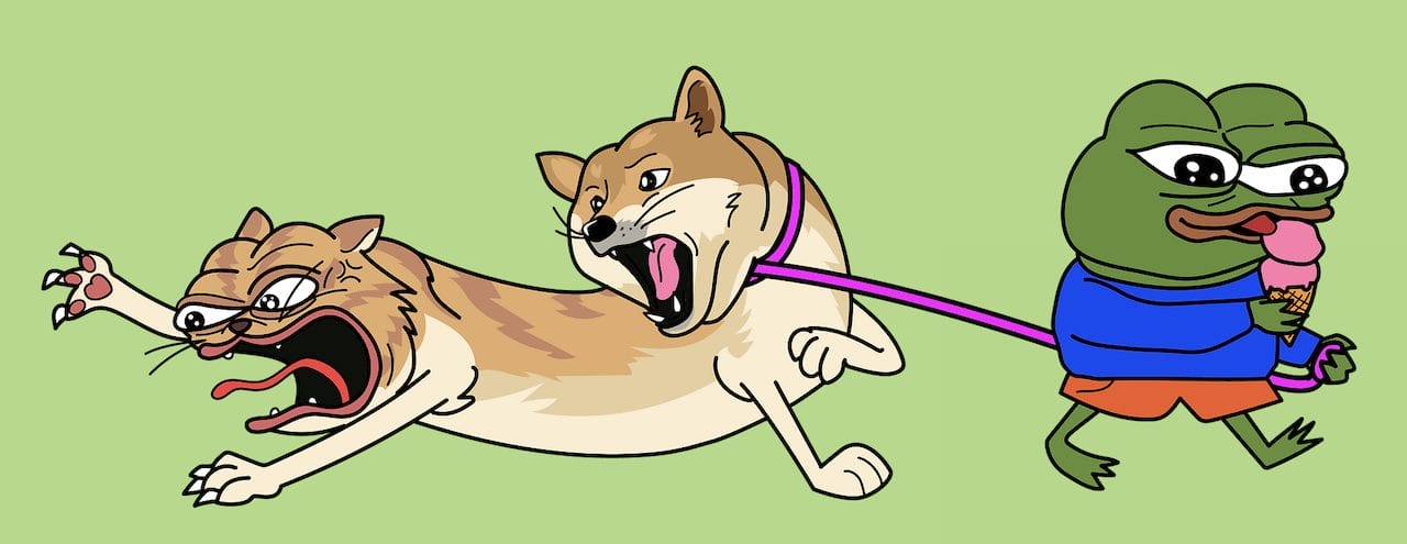 dogwifcat-1