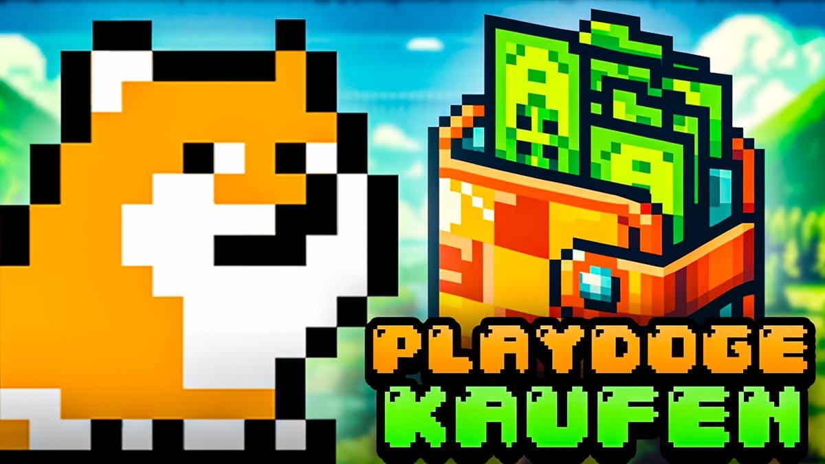 PlayDoge kaufen