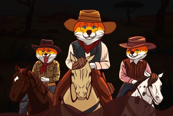 Shiba Shooutout
