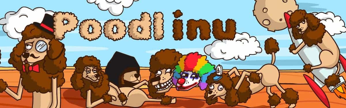 Poodl INU l&agrave; g&igrave;? 