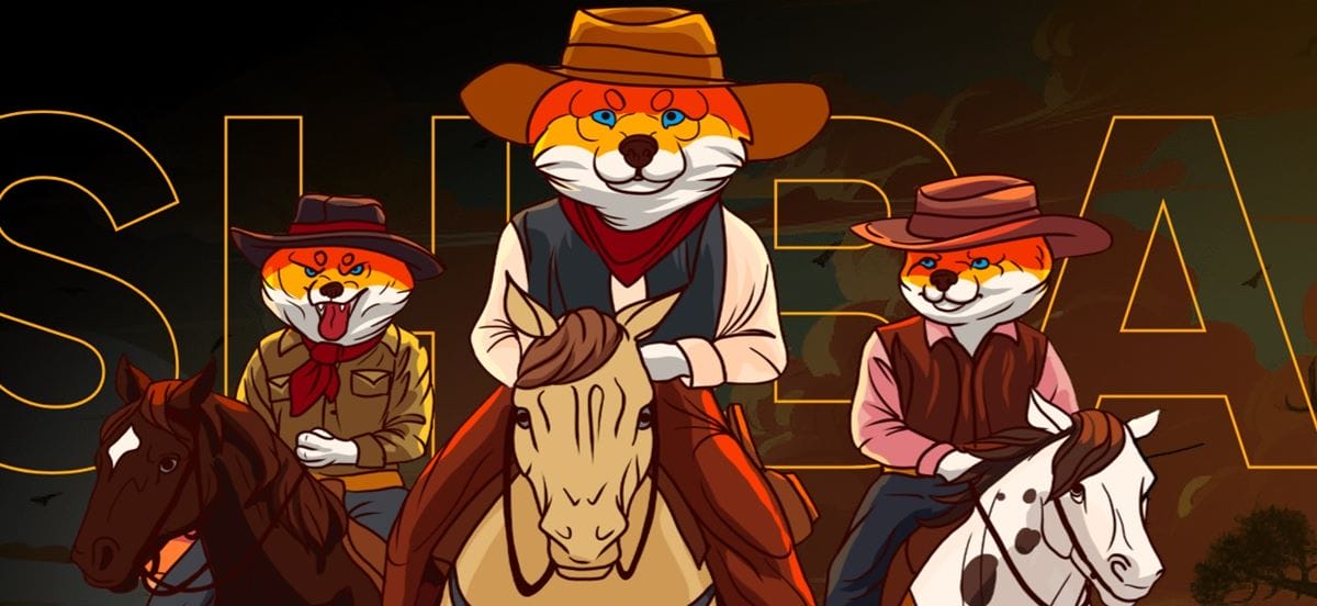Shiba Shootout