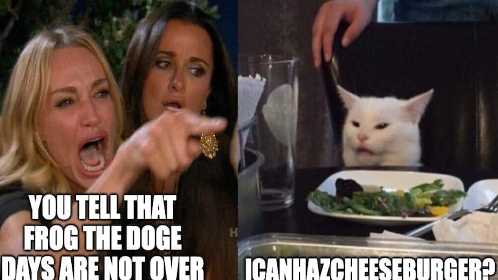 Cat Meme đang ng&agrave;y c&agrave;ng khẳng định vị thế trong cộng đồng altcoin Web3