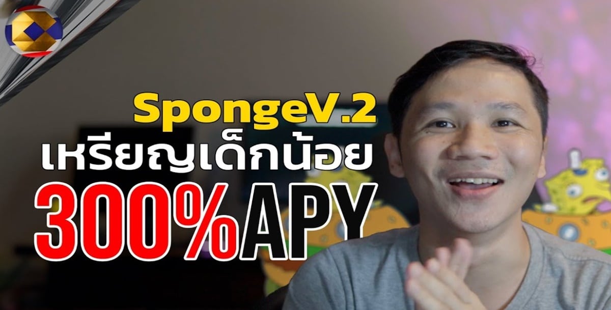 Sponge V.2 สำหรับเด็กโต
