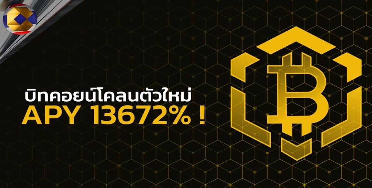 Bitcoin BSC เหรียญโคลนที่ APY โคตรบ้า