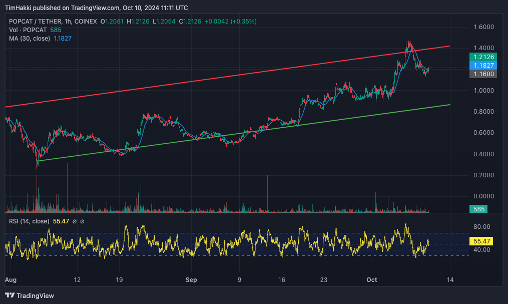 ราคา POPCAT/TETHER บน TradingView