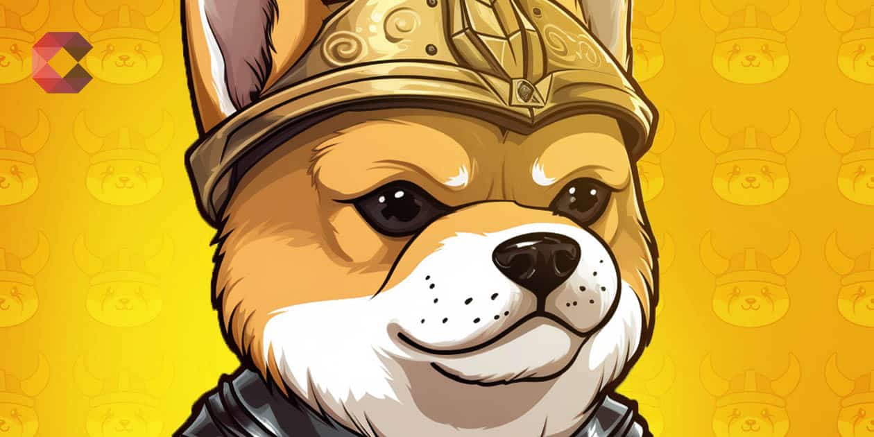 floki-inu