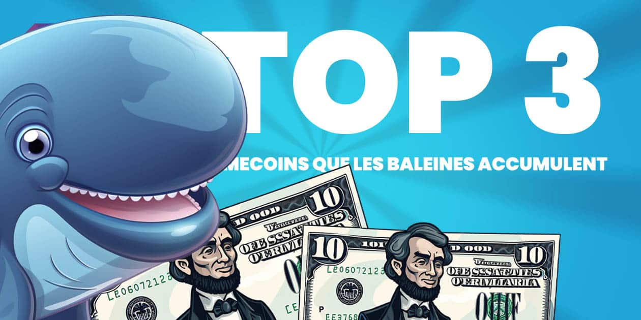 top-3-des-meme-coins-que-les-baleines-accumulent-pour-le-dernier-week-end-de-novembre