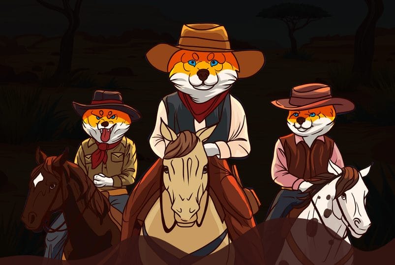shiba-shootout
