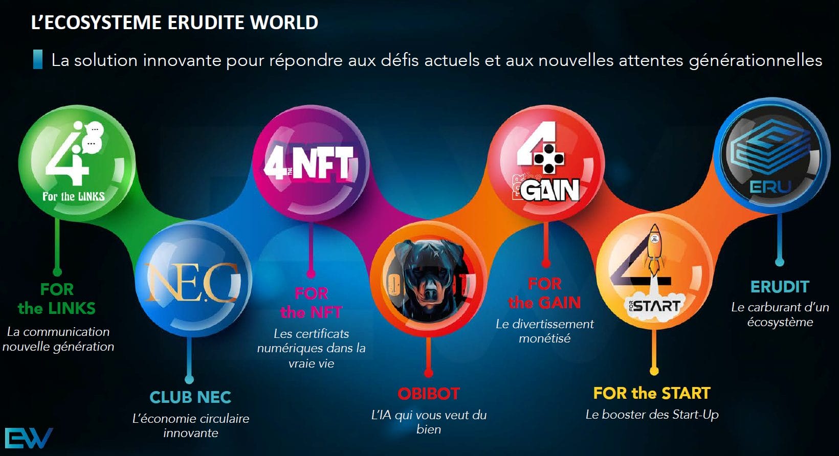 ERUDITE WORLD