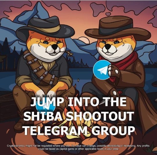 shiba shootout