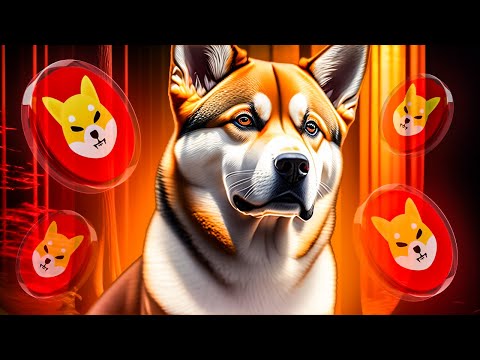 Shiba Inu Rallisi mi Geliyor? Büyük Satış Baskısı Kalktı