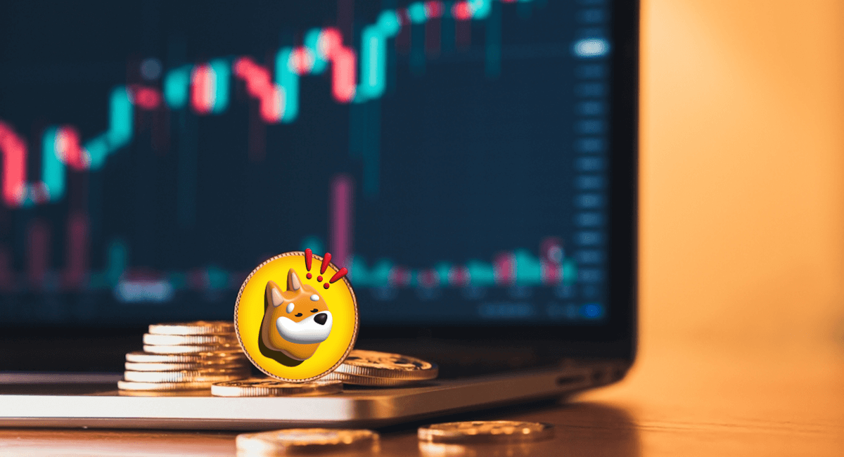 En İyi Bonk Coin Satın Alma Yöntemleri 