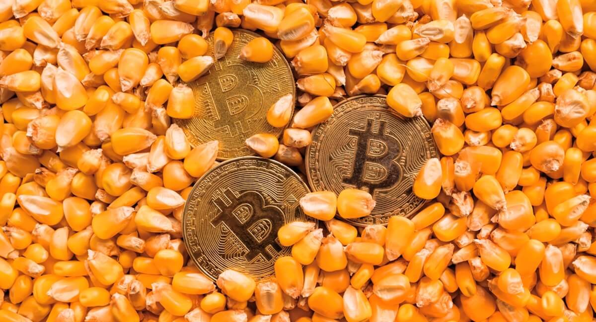 kriptoda yield farming