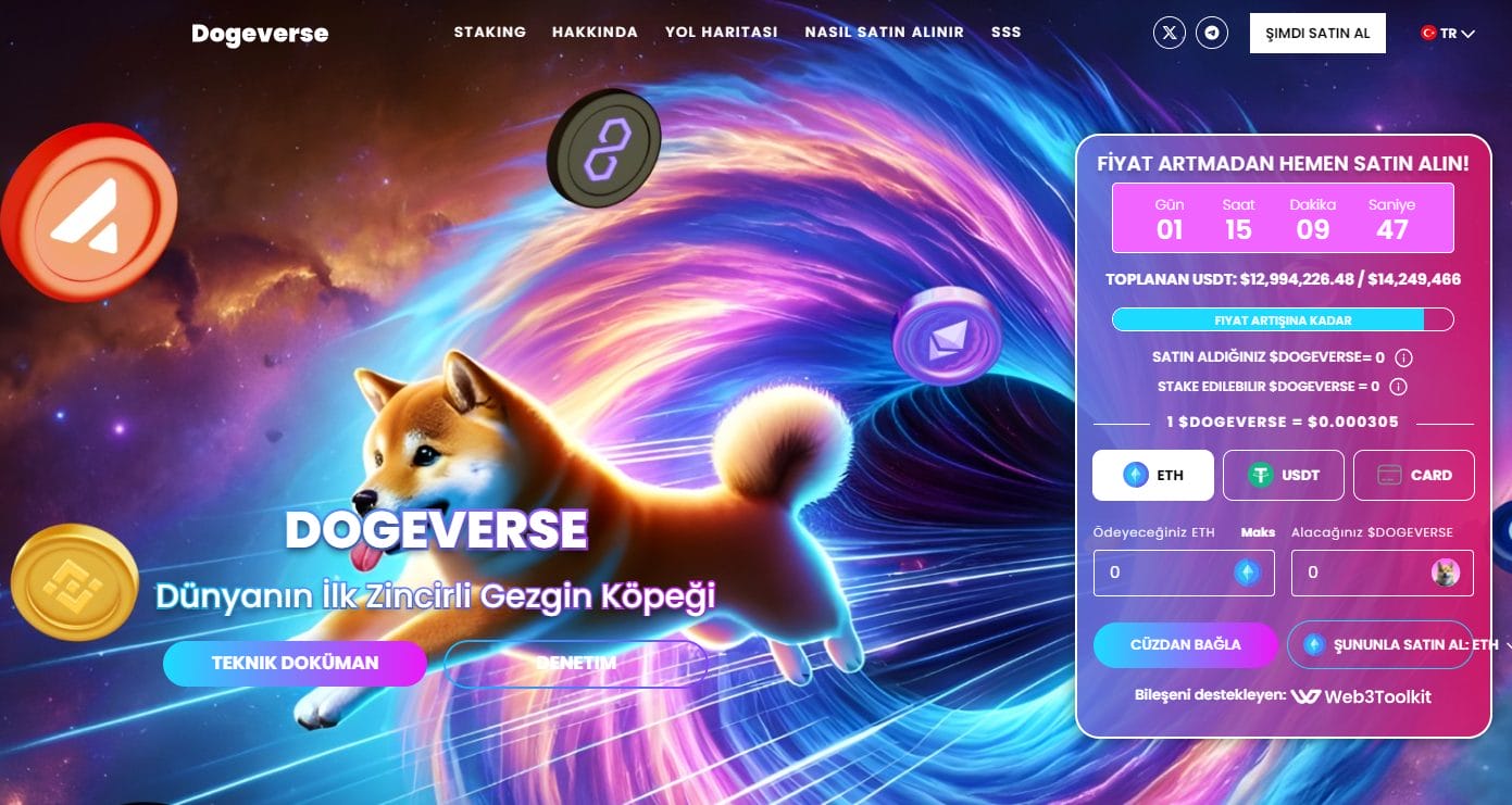Dogeverse 13 Milyon Dolar Topladı
