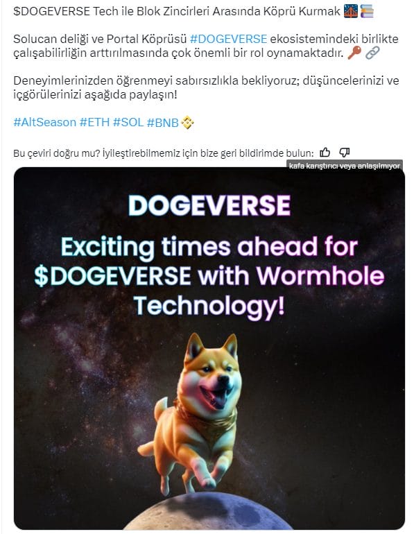 Dogeverse ICO