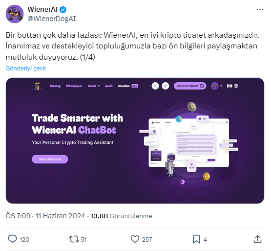 WienerAI, $TURBO'yu Geride mi Bırakıyor?