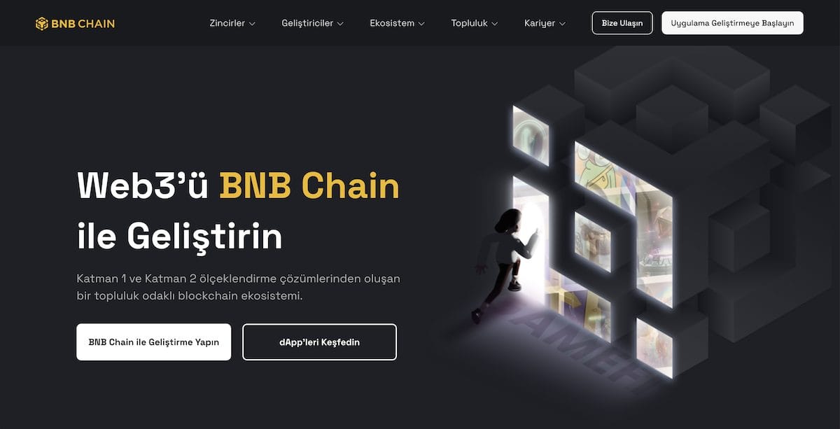 BNB Fiyat Geçmişi