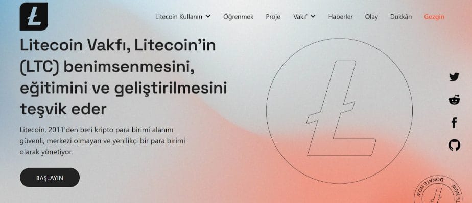Litecoin yorum