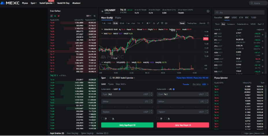 Litecoin yorum