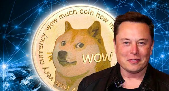 Musk fiyat artışına etkisi