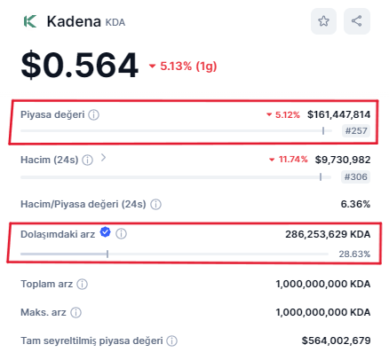 Tam seyreltilmiş değerleme nedir