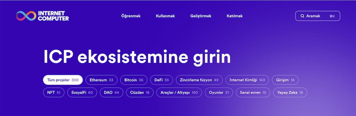 Internet Computer Coin Fiyat Tahmini 2025 Yılı